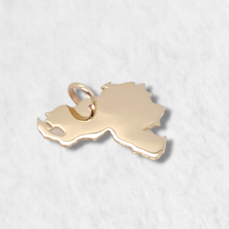 Dije Mapa de Venezuela (15 x 12 mm) - Oro Amarillo 14Kts
